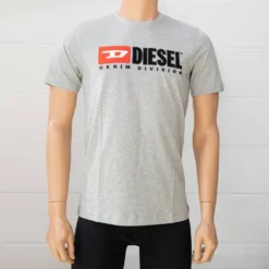 Diesel T-Shirt »T-DIEGO-DIVISION« Blau, Grau