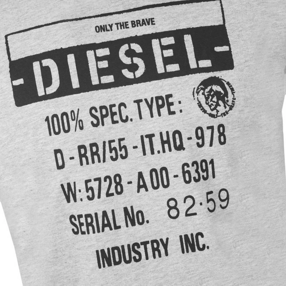 Diesel T-Shirt »Regular Fit Rundhals T-DIEGO-S1 Grau« 2 Diesel T-Shirt »Regular Fit Rundhals T-DIEGO-S1 Grau« – Bild 2